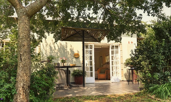 “Trees Are for the Birds” Midweek Getaway at Our Guest House